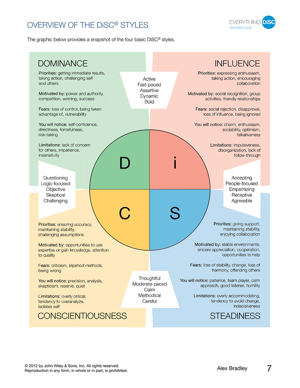 disc assessment results explained